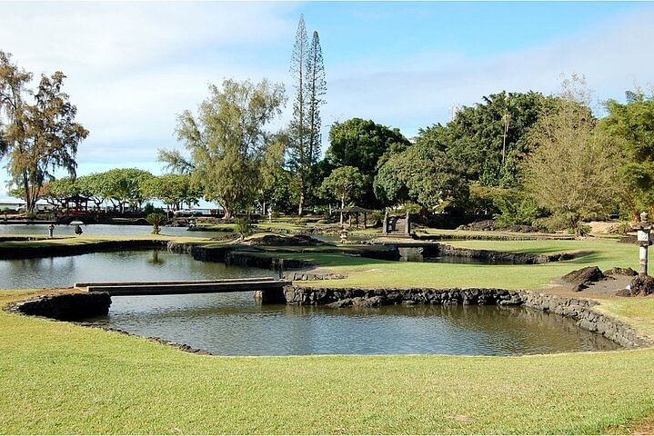 Private Waterfalls and Scenic Tour of Hilo's Big Island Highlights