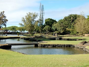 From Big Island-Volcanoes & Waterfall Excursion in a Small Group