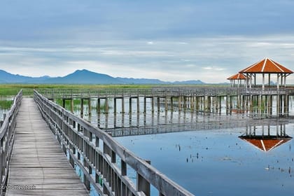River Trip on Pranburi River