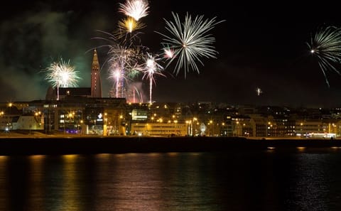 New Year's Eve Cruise with Views of Reykjavík's Skyline