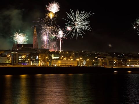 New Years Fireworks by Boat from Reykjavik, photo 2