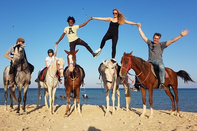 Swimming By Horse in Red Sea, Horse Riding Sea &amp; Desert-Hurghada