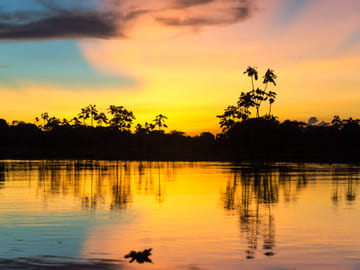 Full Day Amazon Jungle Expedition in Iquitos, Peru