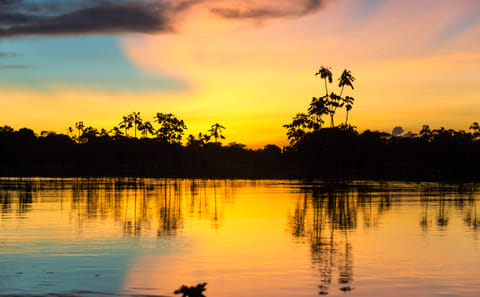 Full Day Amazon Jungle Expedition in Iquitos, Peru