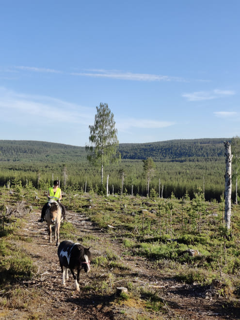 Horse ride to the hill