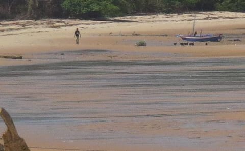 3-Day Cultural and Nature Tour of Marajó Island, Brazil