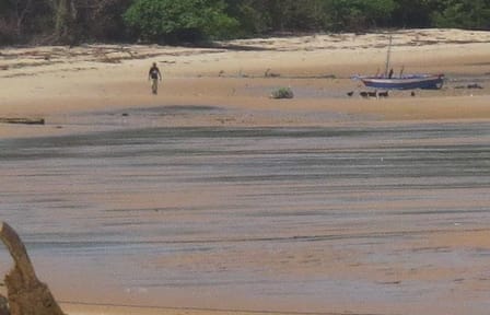 3-Day Cultural and Nature Tour of Marajó Island, Brazil