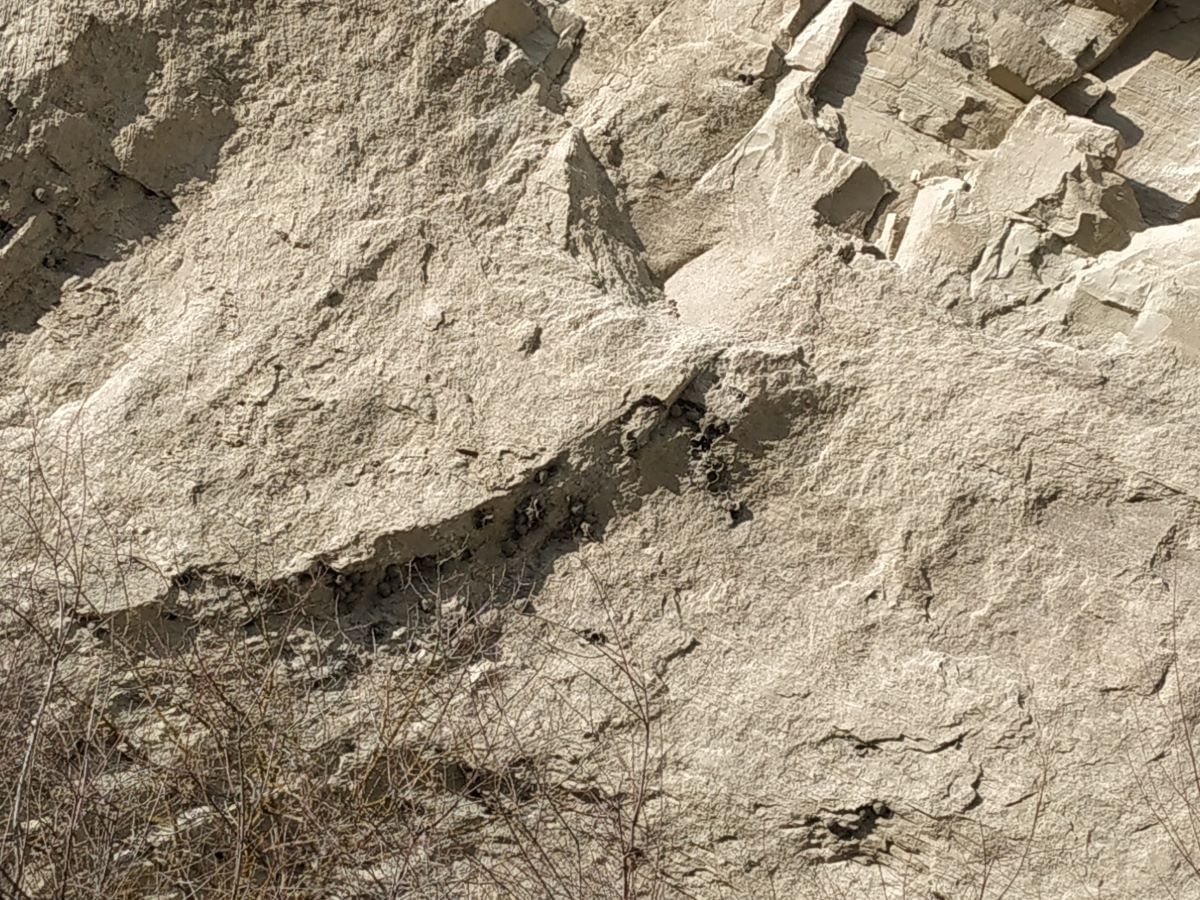 mertskhlebis kalaki at vashlovani national park