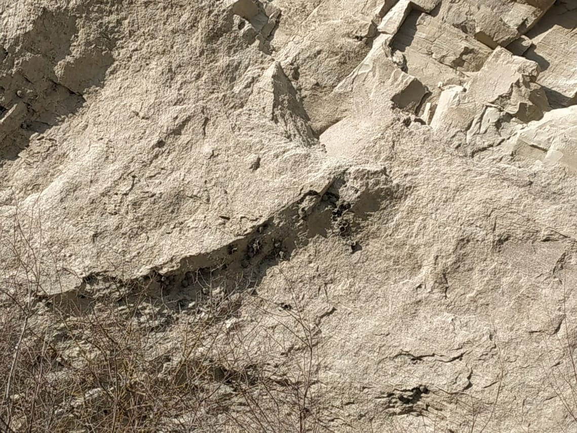mertskhlebis kalaki at vashlovani national park
