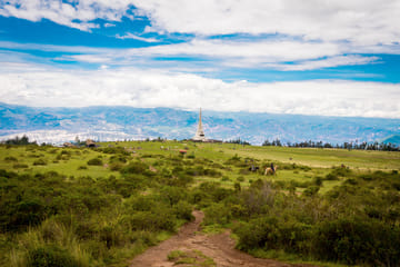 Wari Ruins and Santuario Histórico Tour in Ayacucho