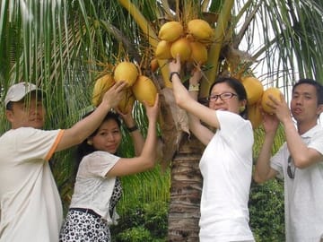 Langkawi Mangrove Boat tour With Mardi Agrotechnology Fruit Park