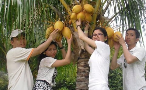 Langkawi Mangrove Boat tour With Mardi Agrotechnology Fruit Park