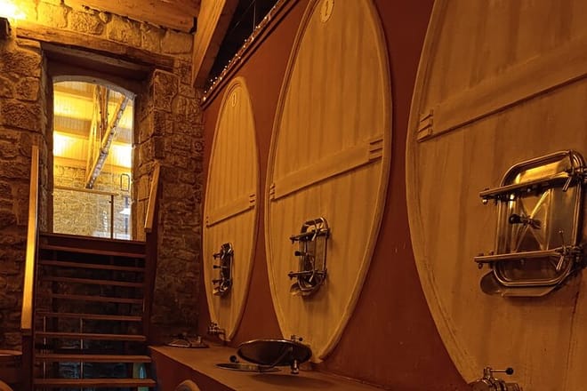 Rioja Day Tour: Explore Three Wineries with Tastings - Photo 6