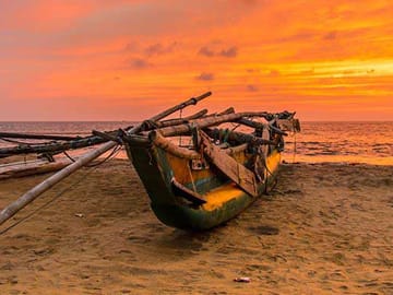 Seven-Day Beach and Hill Country Tour in Colombo, Sri Lanka