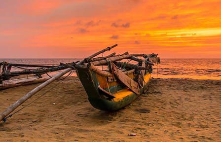 07 Day Beach and Hill Country Exprience