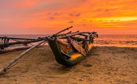 Seven-Day Beach and Hill Country Tour in Colombo, Sri Lanka
