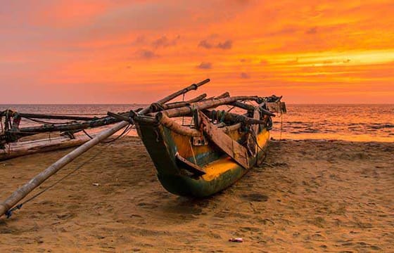 07 Day Beach and Hill Country Exprience