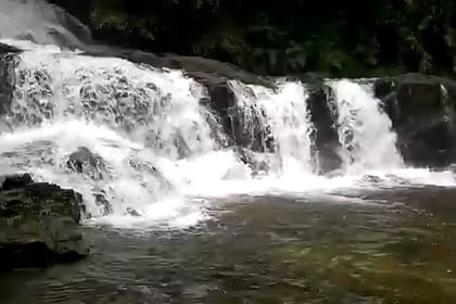 Sinharaja Bird Watching Day Tour from Colombo