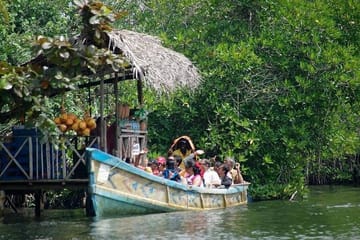 Madu River Boat Safari Tour in Balapitiya, Sri Lanka