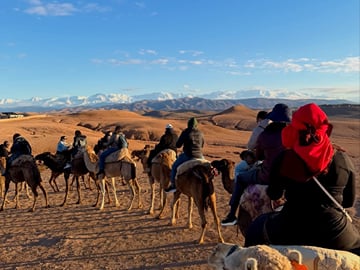 Agafay Desert Sunset Dinner and Camel Ride from Marrakech