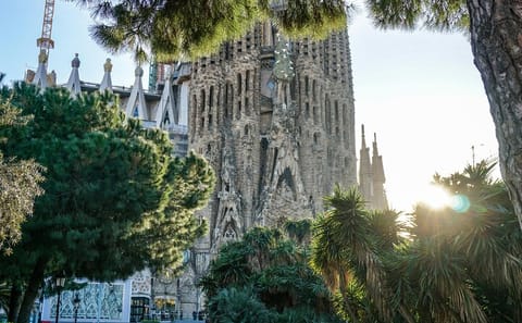 Guided City Tour of Barcelona Using Local Transport