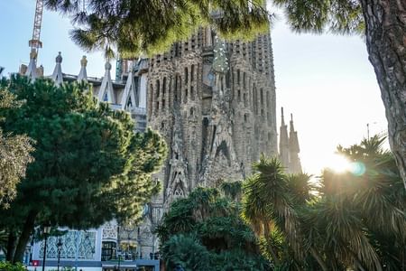 Barcelona: Full Day Guided City Tour on Local Transport
