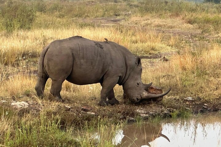 7 Days Kenya Budget Safari In 4WD