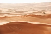 liwa safari