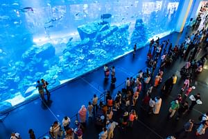 Dubai Mall Aquarium and Underwater Zoo