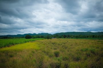 Unspoiled Outdoors-Thaka Floating Market & Erawan Falls