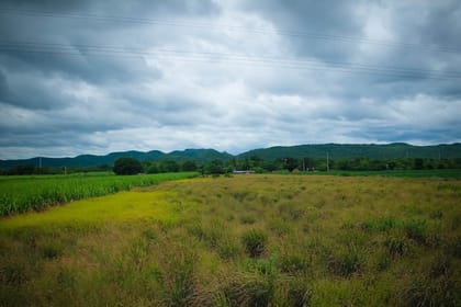 Unspoiled Outdoors-Thaka Floating Market & Erawan Falls