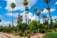 Marrakech Private tour  7