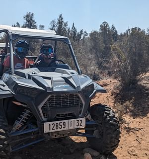Marrakech Buggy ride 2 hours at the Palmeraie