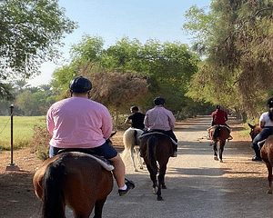 Horse track experience