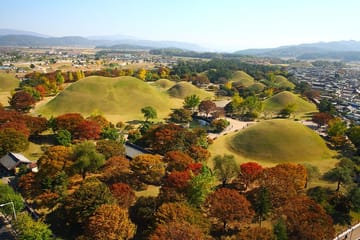 Gyeongju Private Tour with hidden gem by local tour guide