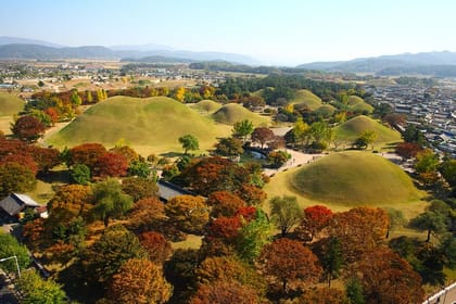 Gyeongju Private Tour with hidden gem by local tour guide