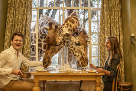 Giraffe centre & Hell Gate National Park Tour