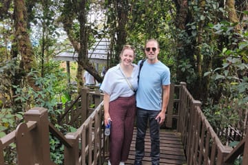 Cameron Highlands Day Tour from Ipoh with Lavender Garden and Tea Plantation