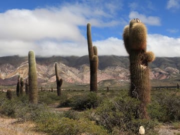 2-Day Calchaqui Valley Tour to Cachi and Cafayate