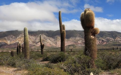 2-Day Cultural and Nature Tour of Cachi and Cafayate