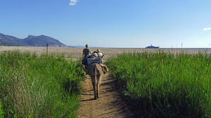 3-day coastal trekking in the Gulf of Orosei with donkeys