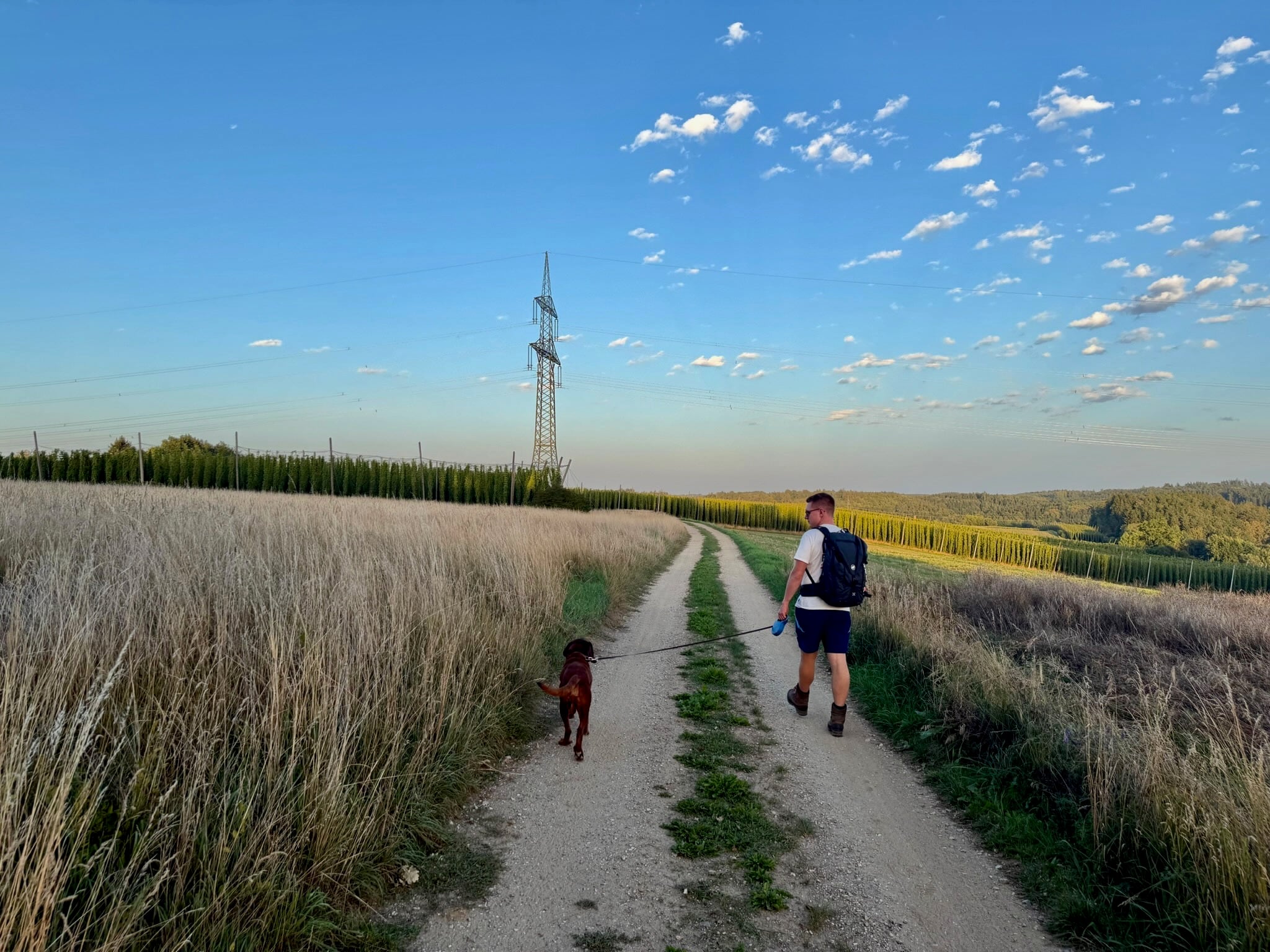 Wandern Hallertau Single
