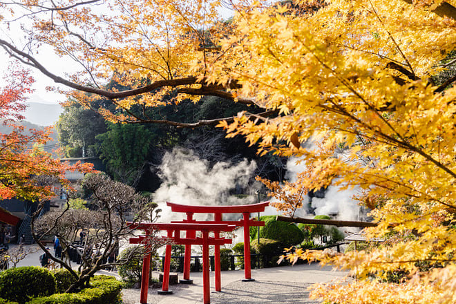 Beppu Private Vehicle Service with Restaurant Reservation