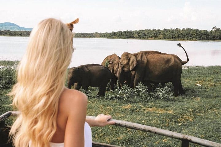 3 Days Tour to Sigiriya & Kandy with Kingfisher Tours Sri Lanka