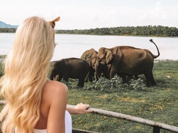 3 Days Tour to Sigiriya & Kandy with Kingfisher Tours Sri Lanka