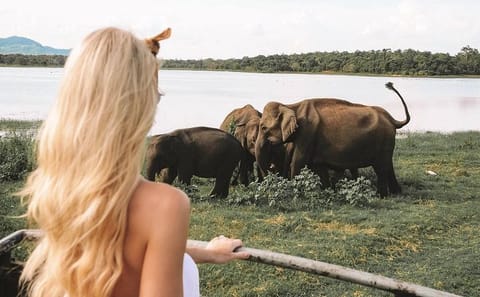 3 Days Tour to Sigiriya & Kandy with Kingfisher Tours Sri Lanka
