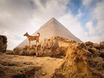 Pyramids of Giza tour and tickets