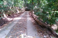 Udawatta Kele Sanctuary Bird Watching and Trekking from Kandy 7