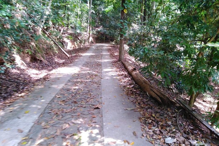 Udawatta Kele Sanctuary Bird Watching and Trekking from Kandy 7