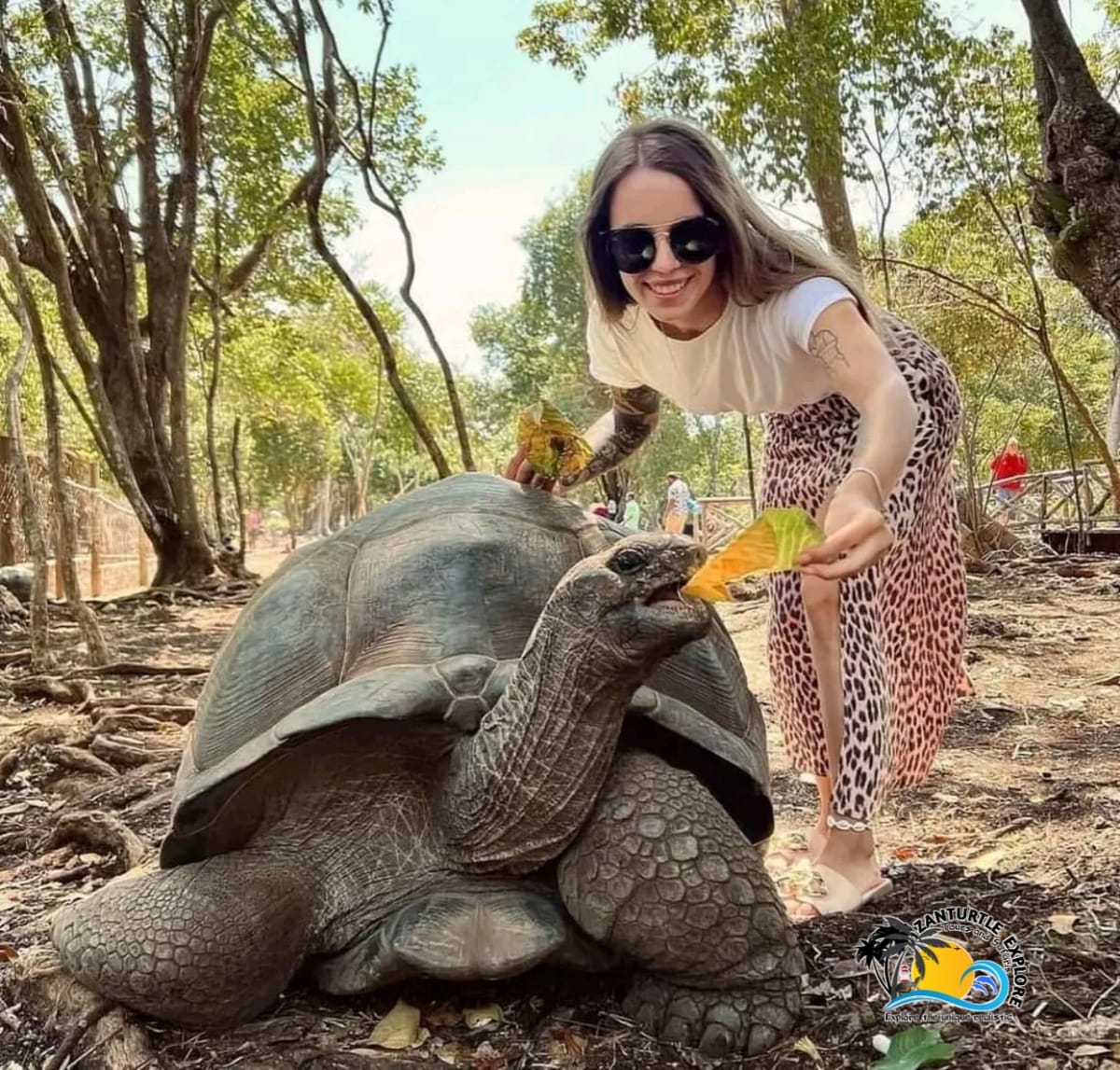 Mnemba Dolphins with Snorkel Tour From Kendwa/Nungwi